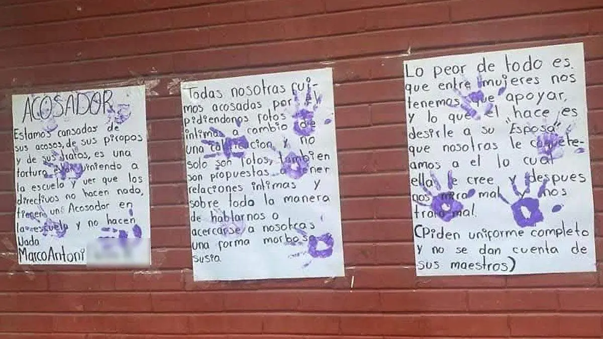 pancartas de acosador del cobaep 12